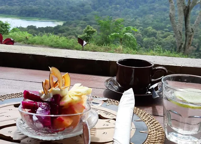 Terrasse Du Guest house Munduk (Bali)