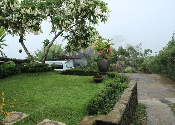 Terrasse Du 2*