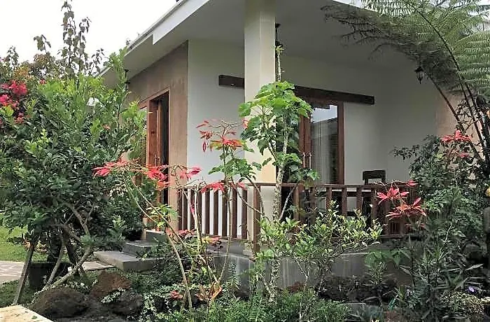 Guest house Terrasse Du 2*