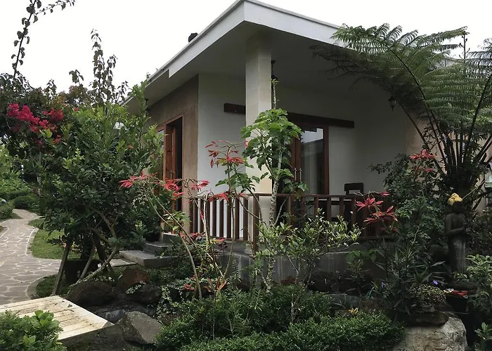 Guest house Terrasse Du Munduk (Bali)