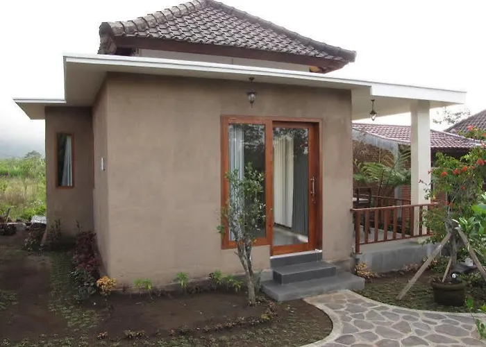 Guest house Terrasse Du 2*