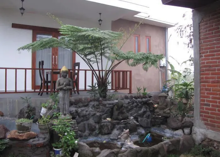 Guest house Terrasse Du 2*