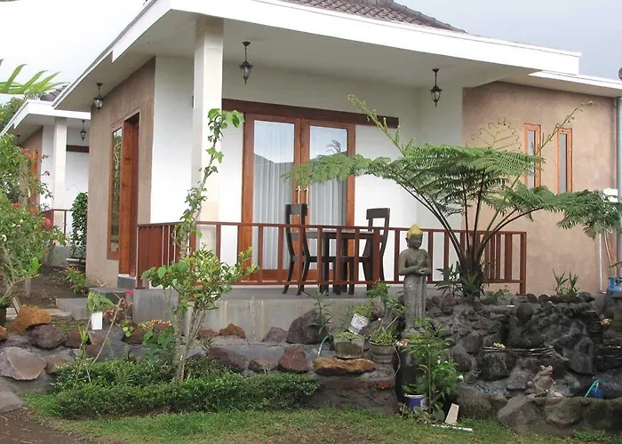 Guest house Terrasse Du 2*